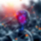 Convergence of Blockchain and AI A visualization of the convergence between blockchain and artificial intelligence.