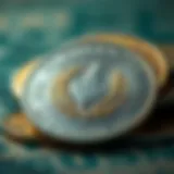 Historical representation of the Argentine peso
