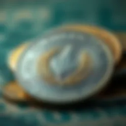 Historical representation of the Argentine peso