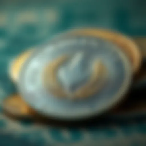 Historical representation of the Argentine peso