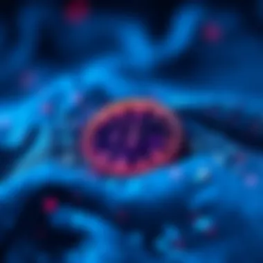 Role of Bytes in Cryptocurrency Trading Infographic explaining the role of bytes in cryptocurrency trading.