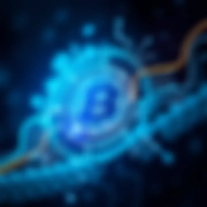 Security Features of Blockchain Visual explaining the security features of blockchain