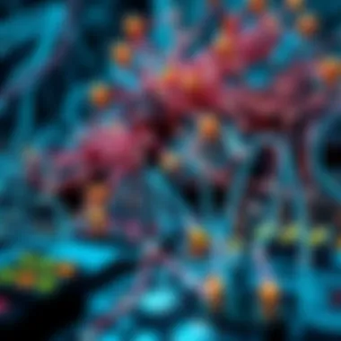 Understanding Blockchain Technology An intricate representation of blockchain technology