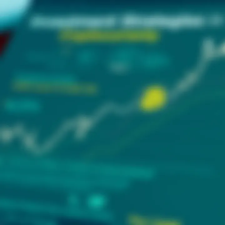 Investment Strategies in Cryptocurrency Infographic detailing investment strategies in cryptocurrency