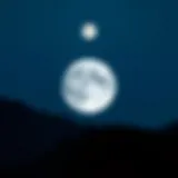 Visual representation of the Safemoon logo