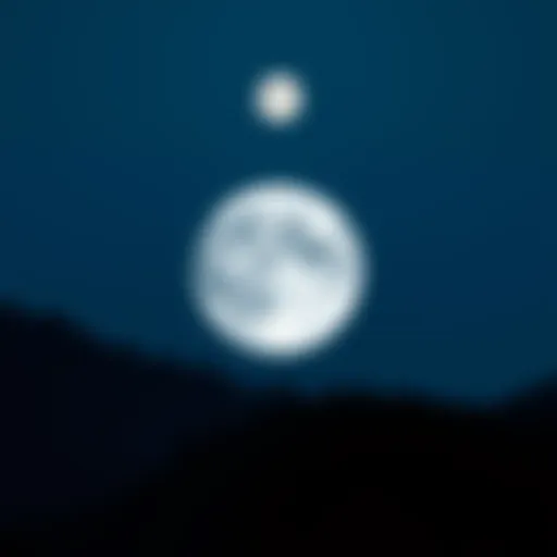 Safemoon Logo Overview Visual representation of the Safemoon logo