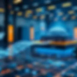 Overview of Sui network architecture