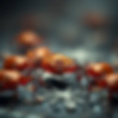 Impact of ticks on investment decisions